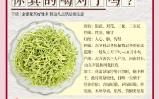 备孕期间饮用金银花茶是否安全？对受孕及胎儿发育有何潜在影响？