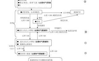 新生儿初步复苏及答案