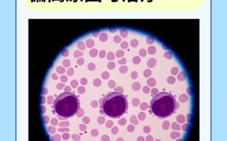 新生儿淋巴细胞百分比偏高/偏低正常吗？需要担心哪些健康问题？