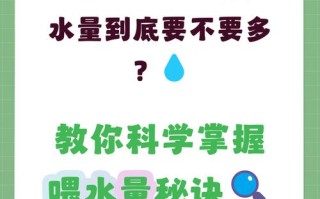新生儿每天到底需不需要额外喂水？不同喂养方式下该怎么科学补水？
