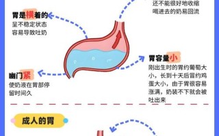 新生儿黄疸引发吐奶，是肝脏代谢异常还是胃肠功能紊乱所致？
