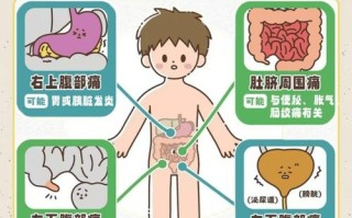 儿童突发肚子痛呕吐，家长该如何科学应对与护理？