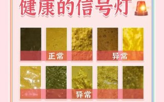 新生儿一天没大便，究竟正常还是异常信号？