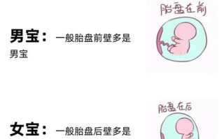 孕期孩子偏大是男孩吗