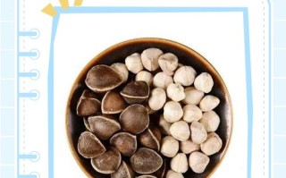 怀孕期间吃辣木籽安全吗？对胎儿有影响吗？