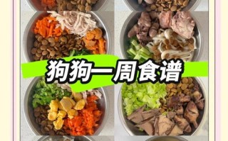 狗狗孕期补钙吃什么好