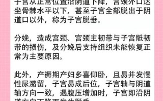 孕期子宫脱垂的幕后推手是谁？激素、胎儿还是盆底肌的锅？