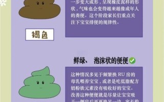 新生儿喂母乳后大便次数多少算正常？需要额外关注哪些异常信号？