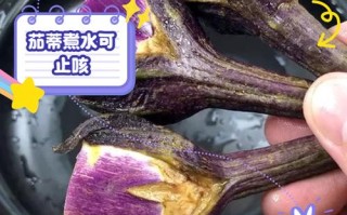 儿童茄子头煮水治咳嗽真的有效吗？科学依据和风险是什么？