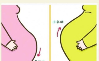 怀孕期间屁多是男孩吗