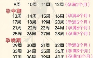 试管婴儿的孕周计算跟自然怀孕一样吗？从取卵日还是移植日开始算？