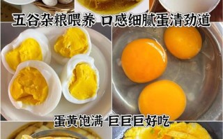 儿童吃鹅蛋的做法大全，有哪些简单又营养的做法适合不同年龄段？