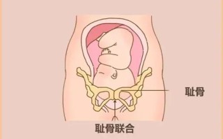 孕期几个月开始耻骨疼？疼痛原因与缓解方法有哪些？