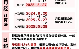 孕期计算器受孕期计算，精准推算排卵期真的能提高受孕率吗？