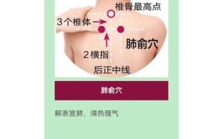 儿童肺俞穴的准确位置图究竟在哪里？如何快速找到并正确定位？