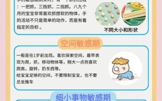 不能错过的儿童敏感期