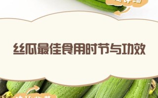 孕期频繁食用丝瓜会否影响健康？营养专家建议与注意事项解析