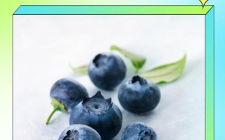 儿童吃蓝莓的适宜量是多少？过量食用会有哪些健康风险？