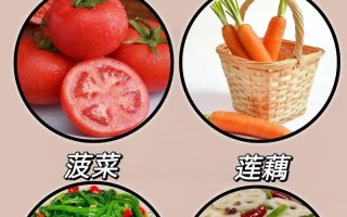 怀孕期间哪些青菜营养丰富又安全？孕期饮食青菜选择指南