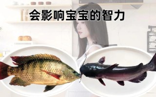 孕期哪些鱼不能吃？