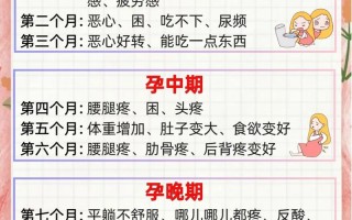 孕期什么时候反应最大？不同孕周的反应变化与应对策略是什么？
