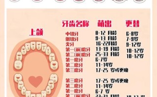 儿童换牙年龄有标准范围吗？早换或晚换需要担心吗？