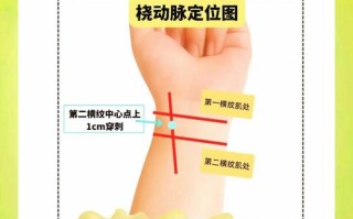 新生儿桡动脉定位图片，如何精准定位新生儿桡动脉？关键步骤与注意事项是什么？