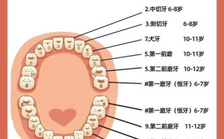 儿童过早换牙是发育异常信号？背后隐藏哪些健康隐患？