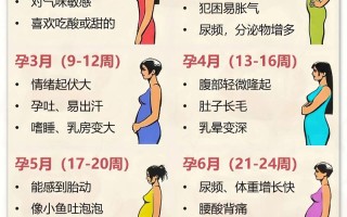 怀孕期间孕妇会长高吗