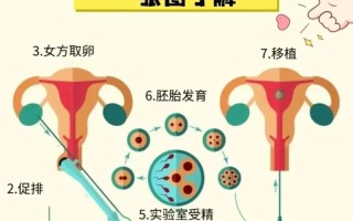 怀孕期间如何进行DNA检测？有哪些方法及注意事项？