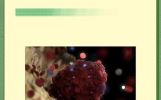 孕期白细胞升高究竟意味着什么？是生理性波动还是病理性信号？