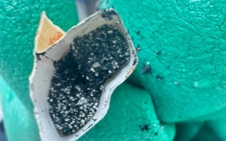 儿童误食干燥剂后紧急处理步骤有哪些？家长如何判断是否需要送医？