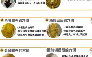 新生儿正常大便有奶瓣