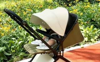 新生儿睡床还是婴儿车？哪种更适合宝宝睡眠安全与发育需求？