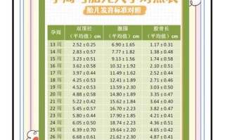 孕期各周胎儿发育标准是绝对准确的参考吗？