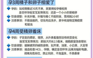 孕期到底从几周开始补充营养最科学？不同阶段重点营养素怎么补？