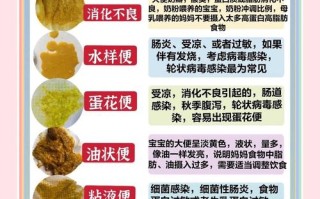 新生儿持续腹泻不止，家长该如何科学应对与护理？