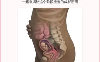 孕期4个半月胎儿图片能看出宝宝五官轮廓了吗？发育情况是否正常？