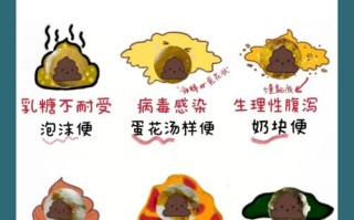 新生儿肚子咕噜响还拉稀，是消化不良还是肠炎？需要就医吗？