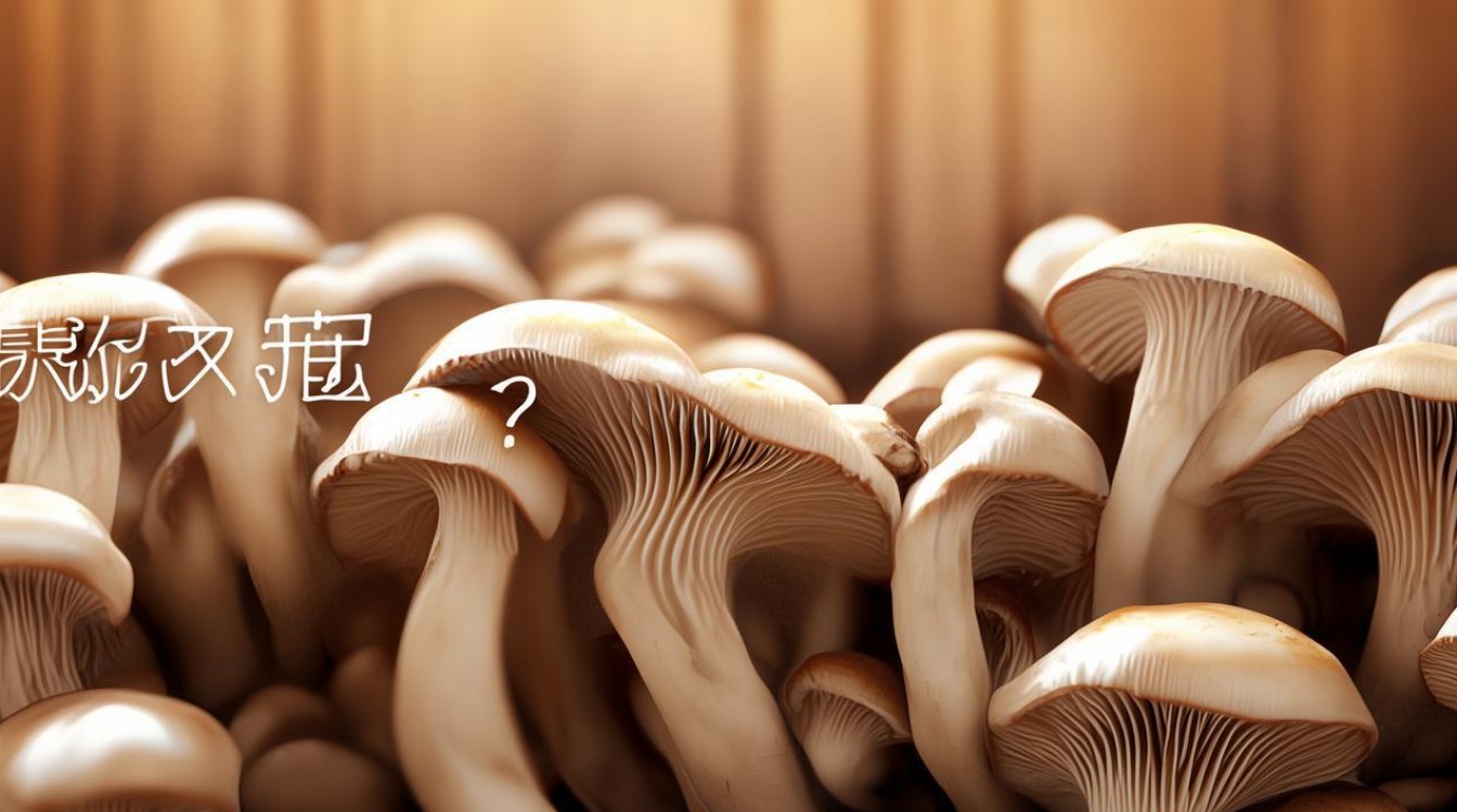 黑木耳是感光食物吗？真相揭秘！-图1
