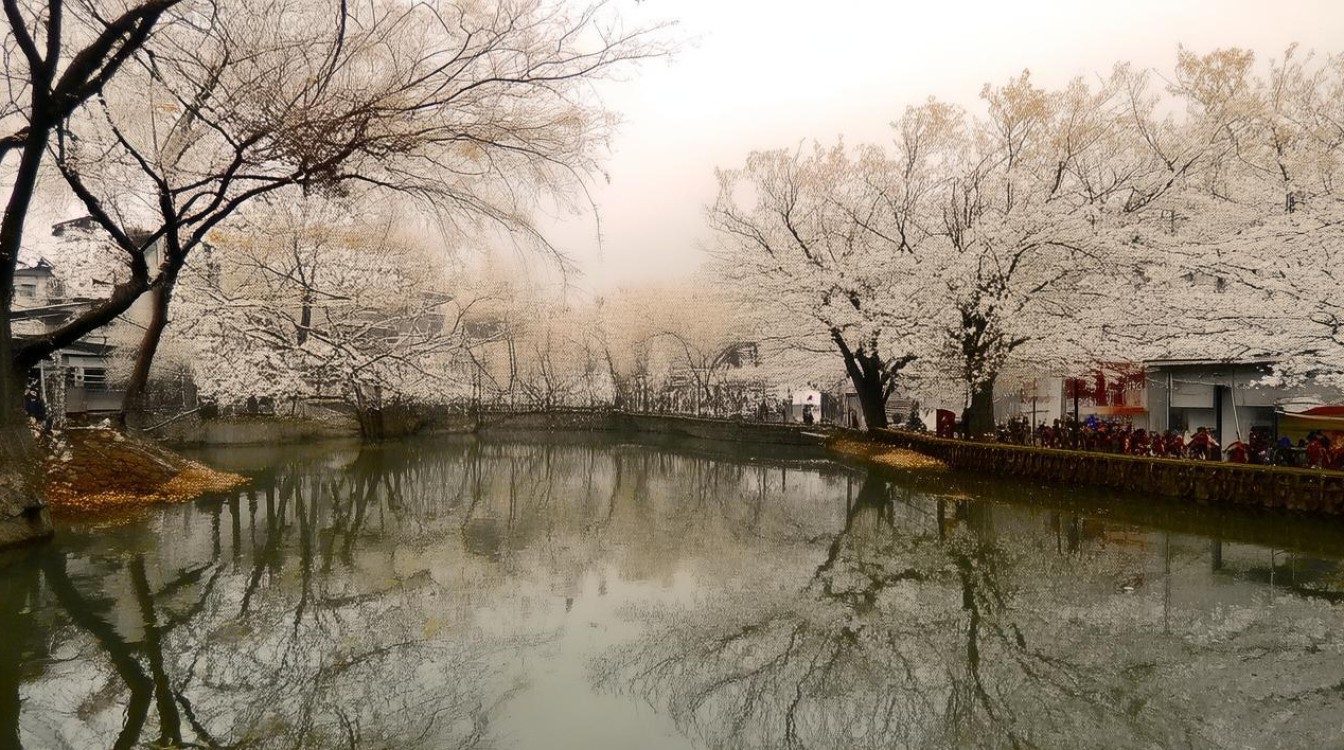 避孕药会影响皮肤健康吗？-图3