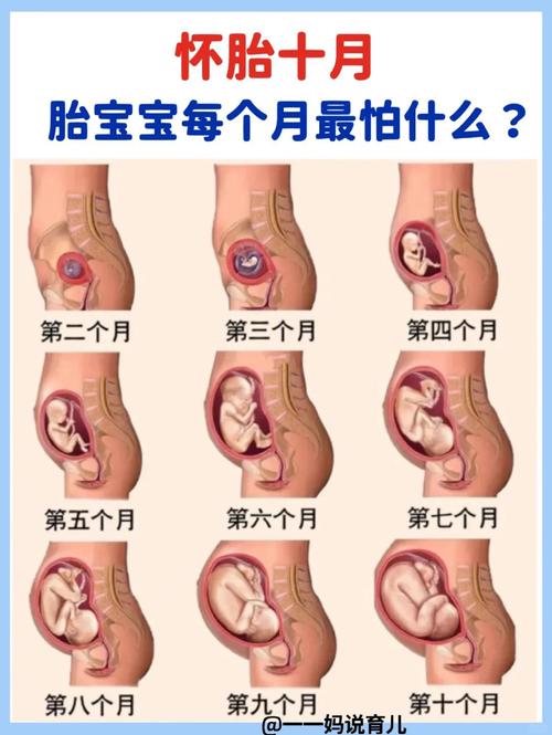 孕期如何确认孩子生父?-第2张图片-中州医学会 孕期如何确认孩子生父?-第2张图片-中州医学会