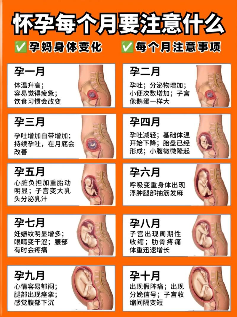 孕期如何确认孩子生父?-第3张图片-中州医学会 孕期如何确认孩子生父?-第3张图片-中州医学会