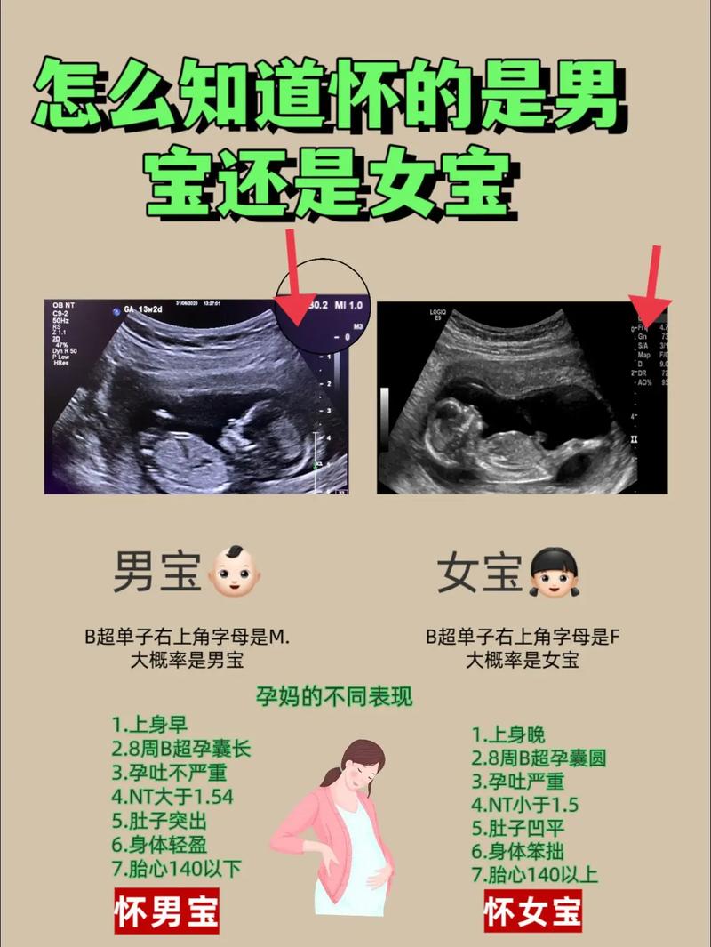 孕期如何判断孩子生父？-第2张图片-中州医学会