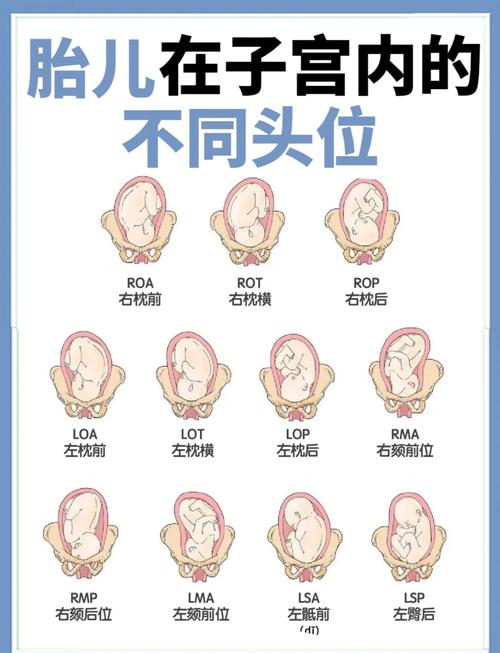 孕期如何判断孩子生父？-第3张图片-中州医学会