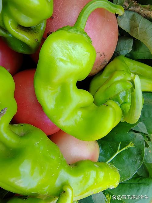 孕期吃辣椒，宝宝会受影响吗？-第3张图片-中州医学会