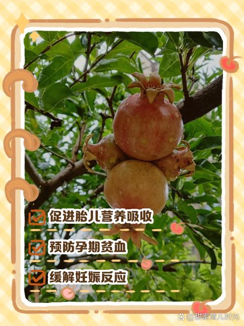 孕期吃石榴,对胎儿和妈妈有哪些好处?-第1张图片-中州医学会 孕期吃石榴,对胎儿和妈妈有哪些好处?-第1张图片-中州医学会