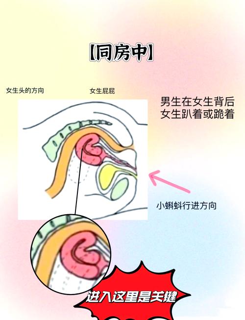 备孕同房后立即运动有影响吗？-第3张图片-中州医学会