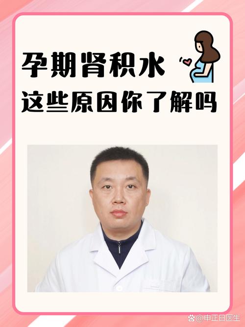 孕期为何致胎儿肾积水？-第2张图片-中州医学会