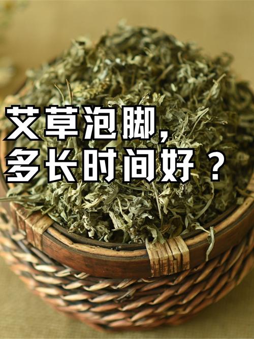 备孕期能用艾草泡脚吗？-第2张图片-中州医学会